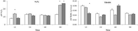 Hydrogen Peroxide H2o2 And Thiobarbituric Acid Reactive Substances