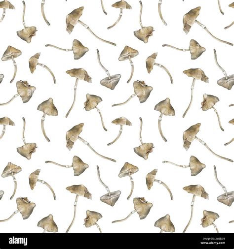 Watercolor Seamless Pattern With Poisonous Mushrooms Withered Dry