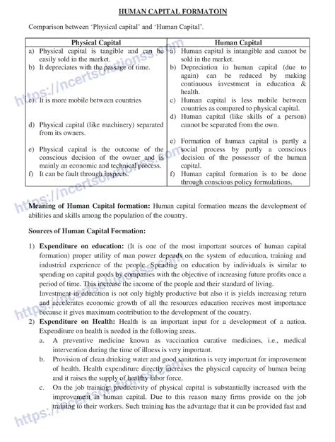 Human Capital Formation Class 12 Mcq