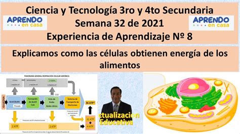 CyT 3ro y 4to Semana 32 Explicamos como las células obtienen energía de