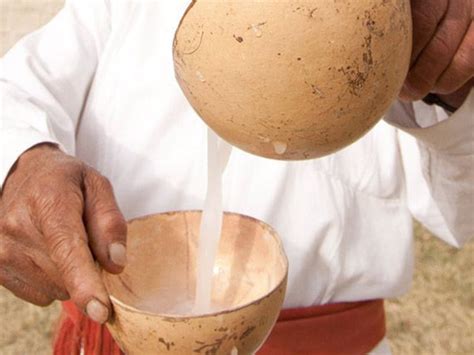 Como o Pulque é feito Preparação fermentação e mais