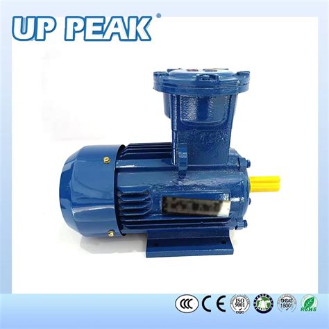 Ybx3 Ybx4 Series Three Phase Explosion Proof Motor Asynchronous