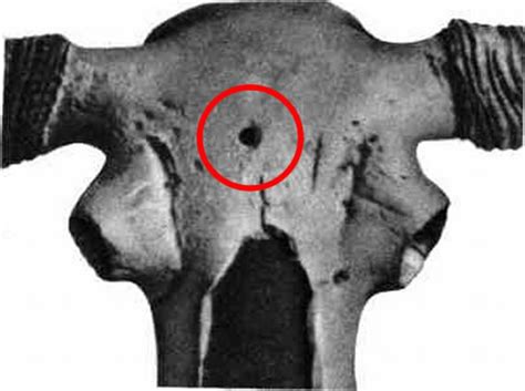 НЛО - Палеоконтакти (част 1)