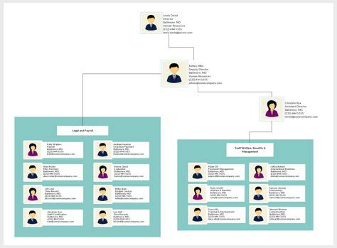 org chart showing  typical hierarchy   hr department