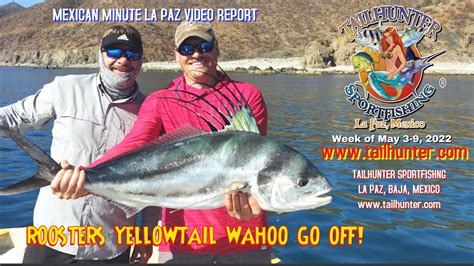 The Mexican Minute La Paz Fishing Report From Tailhunter Sportfishing