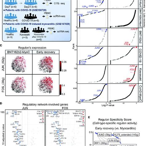 Time Series Analysis Of Single Cell RNA Sequencing Data Of PBMCs Of A