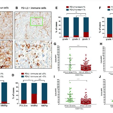 Analysis Of Pd Tils Cd Tils And Cd Tils In Endometrial