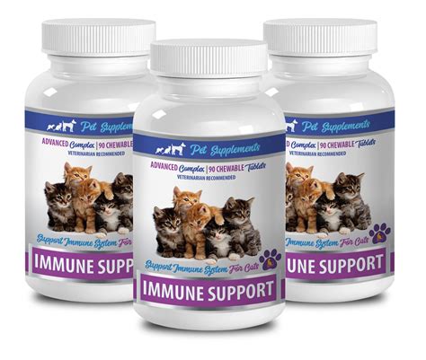 Older Cat Supplements Immune Support For Cats Vet Etsy