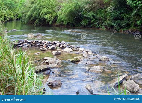 Flowing Creek Stock Photo Image Of Creek Flowing Nature