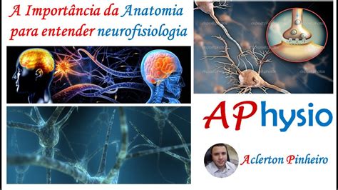 Sobre Neurofisiologia E Neuropatologia Marque A Assertiva Correta: