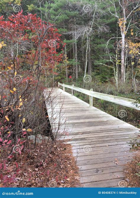 Natick Nature Trail stock photo. Image of nature, trail - 80408374