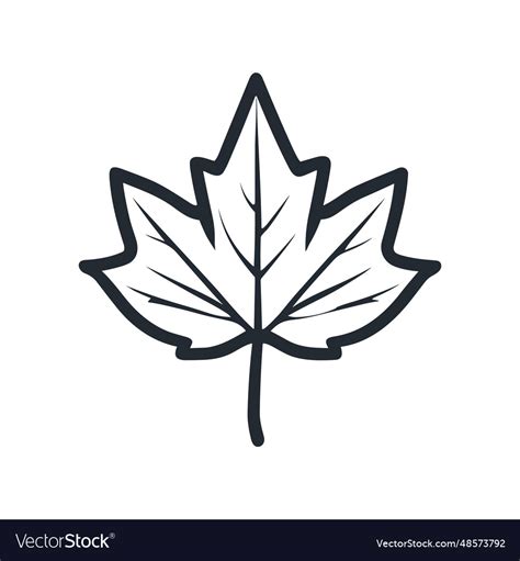 Maple leaf logo design silhouette icon Royalty Free Vector