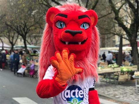 TEMOIGNAGE À 15 ans la mascotte du Stade lavallois Tangoal cest