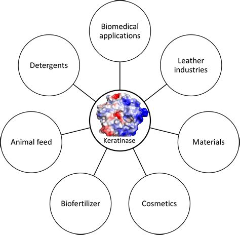 Frontiers Progress In Microbial Degradation Of Feather Waste