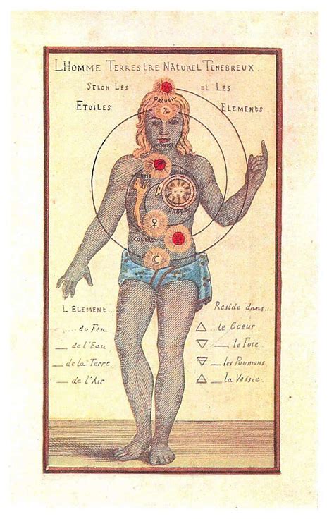 Chakras Marinus Jan Marijs