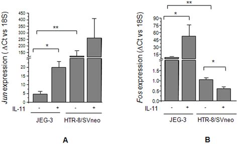 IL 11 Mediated Expression Of Jun And Fos In JEG 3 And HTR 8 SVneo