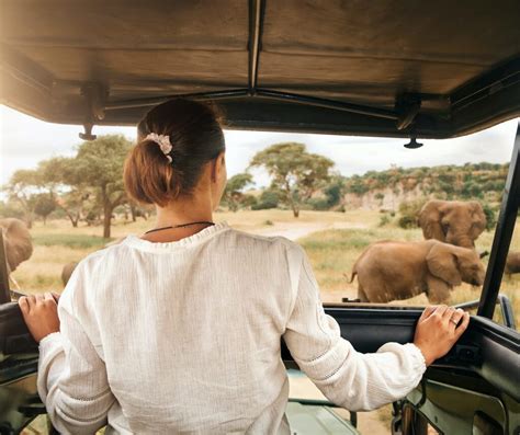 Private Safari In Tanzania Exclusive Safari Tours