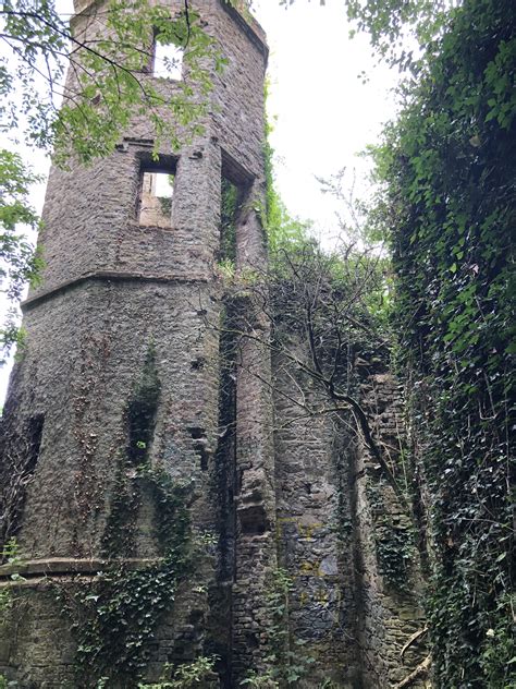 Abandoned 16th century castle outside of Cork Ireland. Its know as the ...