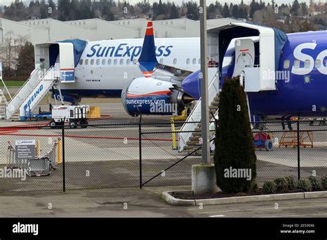 737 planta fotografías e imágenes de alta resolución Alamy