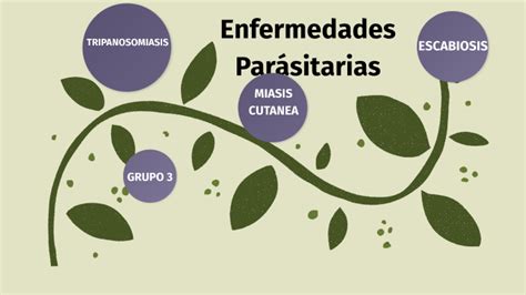 Enfermedades Tropicales By Brenda Sucely On Prezi