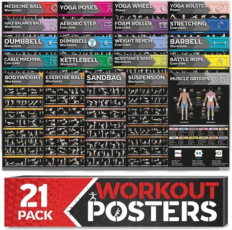 Pack Laminated Large Workout Poster Set Perfect Workout Posters