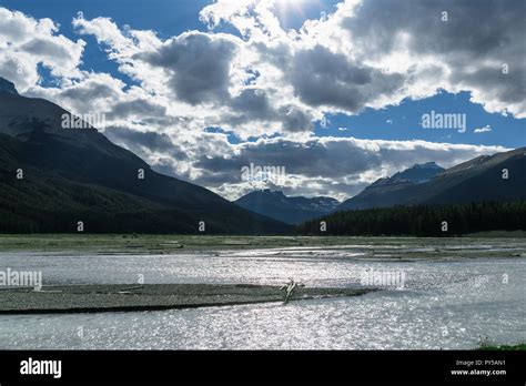 Rocky mountains in Banff National Park Stock Photo - Alamy