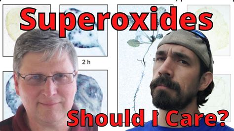 Why are superoxide so Important To Plant Health - YouTube