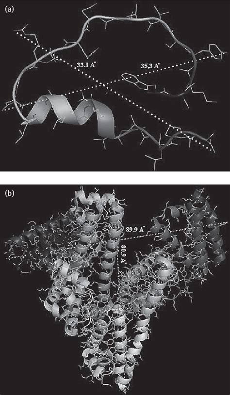 Figure 1 From Particle Size And Zeta Potential Investigation Of