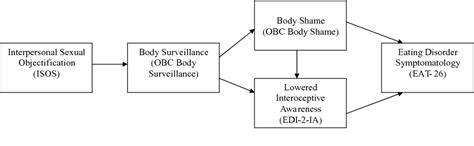 Figure 2 From A Test Of Objectification Theory With Lesbian Women