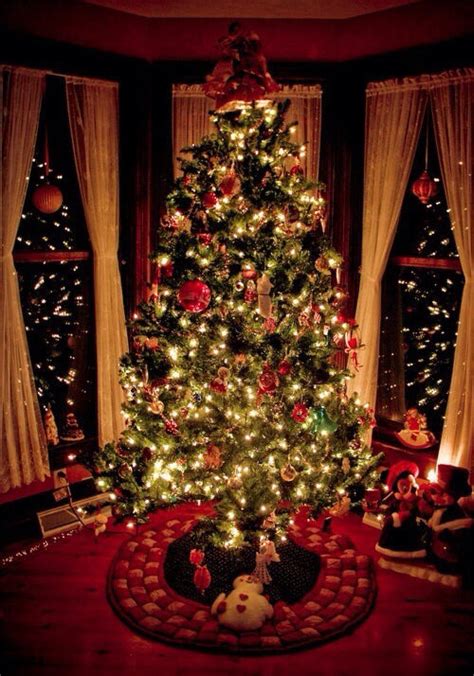 Christmas Tree At Night Pictures, Photos, and Images for Facebook ...