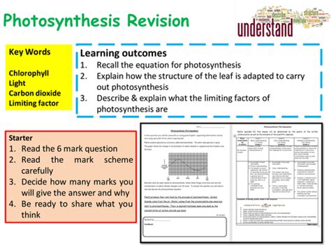 Gcse Biology Photosynthesis Revision Lesson Teaching Resources