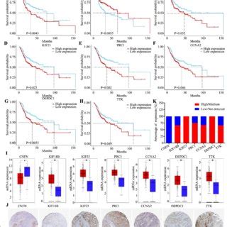 Go Function And Kegg Pathway Analyses A Go Enrichment Analysis Of The