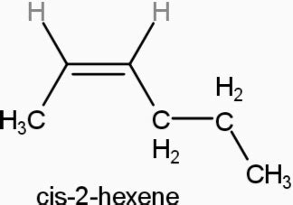 Draw The Compound Cis 2 Hexene Homework Study