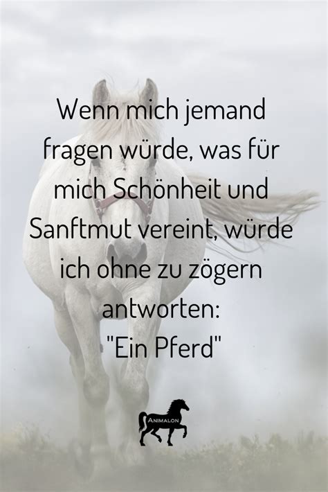 Pferd Schonheit Pferdespruche Pferde Zitate Lustige Milk And Honey