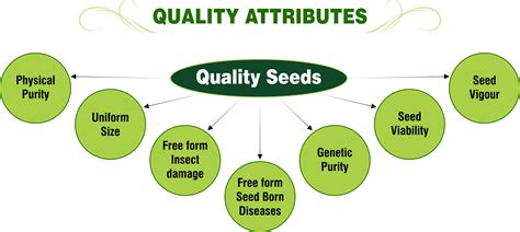 Quality Attributes Png Super Seeds