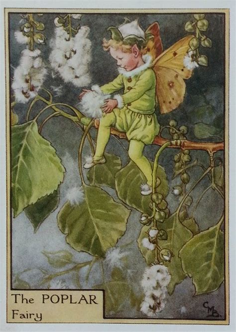 Flower Fairy Vintage Print 1930s The Poplar Tree Cicely Mary Etsy