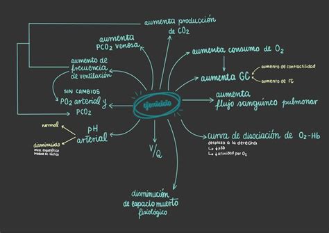 Adaptaciones Fisiol Gicas Al Ejercicio