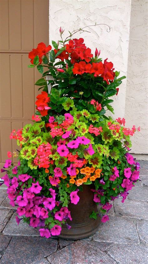 Top And Beautiful Summer Planter Ideas Mixed Flower Pots Container