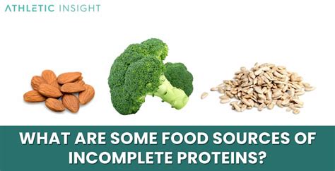 Complete Vs Incomplete Proteins What Are The Key Differences Athletic Insight