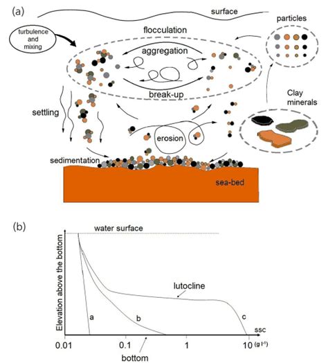 Deposition Of Sediment