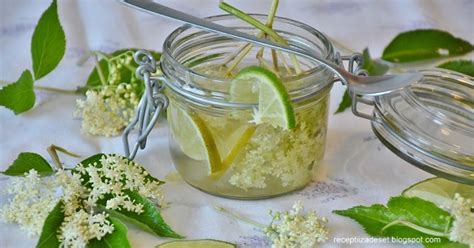 ZOVA KAO LIJEK DONOSIMO RECEPTE ZA SIRUP I ČAJ