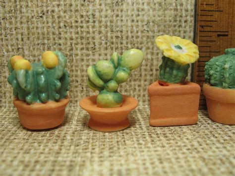 CACTUS Cacti Southwest Desert Plants Fairy Garden French - Etsy