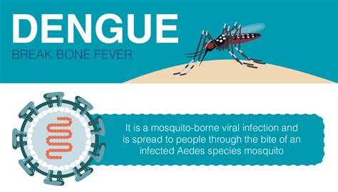 Overivew of Dengue - Know its Signs and Symptoms