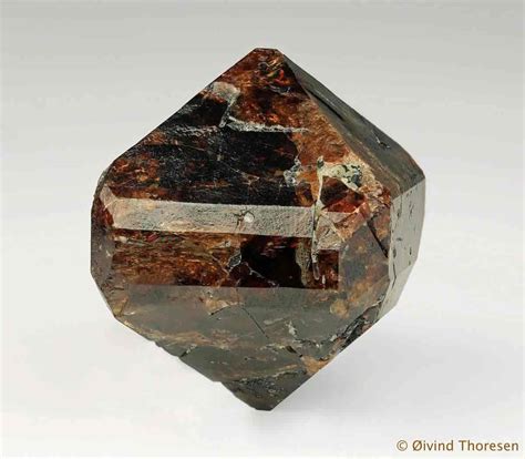 zirkon store norske leksikon