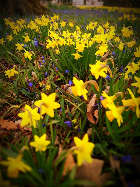 Spring Colours Anna Pereczkowska Flickr