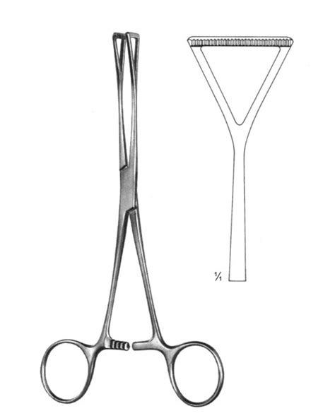 Intestinal And Tissue Grasping Forceps Duval 23 Mm