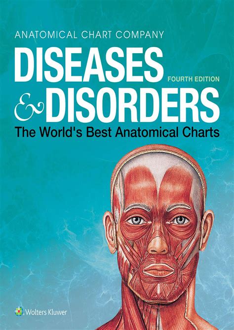 Marcusfogal Diseases Disorders The World S Best Anatomical Charts The