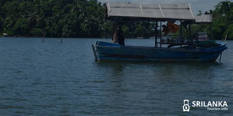 Madu Ganga River Safari All You Need To Know Sri Lanka Tourism