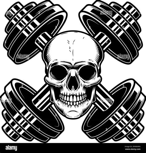 Skull With Crossed Gym Barbells Gym Consept Design Element For Logo Label Sign Poster Stock