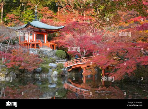 Japanese Temple Garden In Autumn Daigoji Temple Kyoto Japan Asia